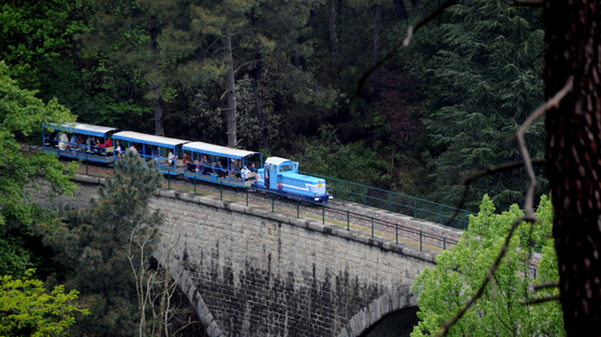 Insolite Le Petit Train De L Andorge Fait La F Te En C Vennes