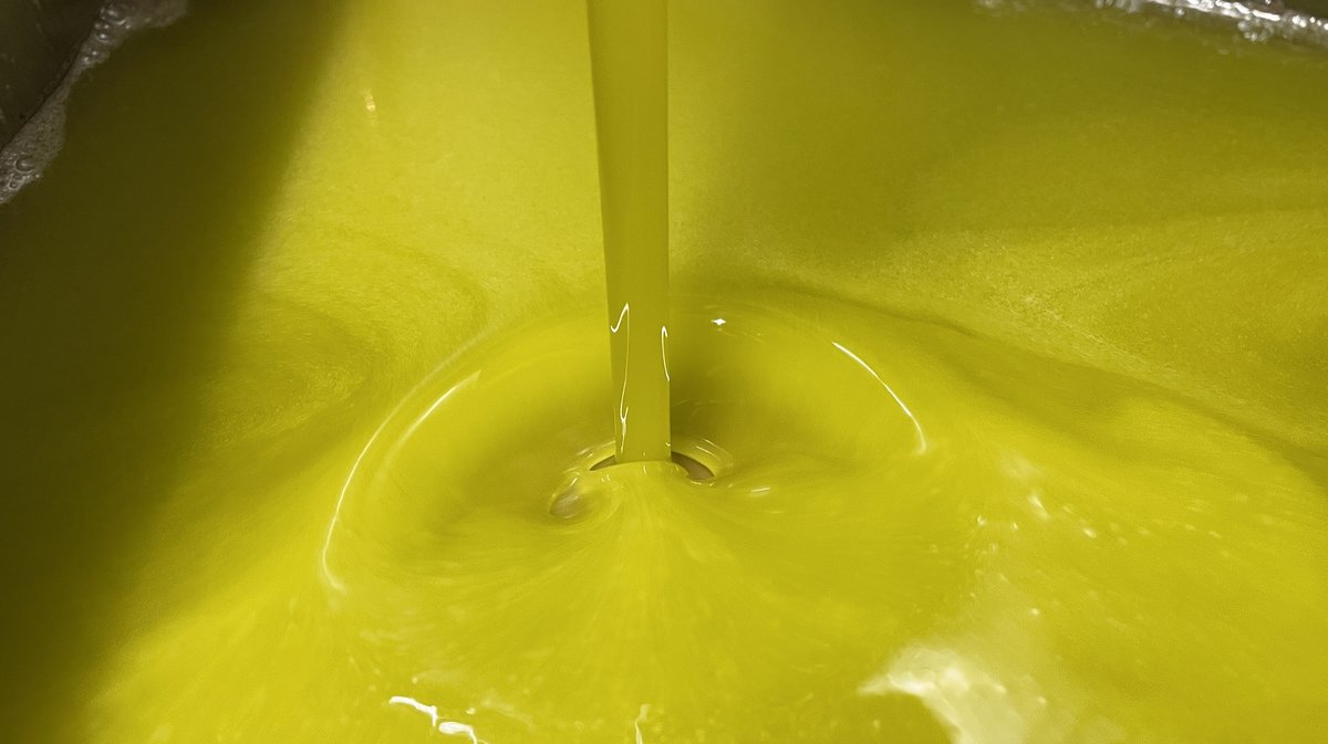 NÎMES Les Chevaliers font découvrir l’huile d’olive au maire