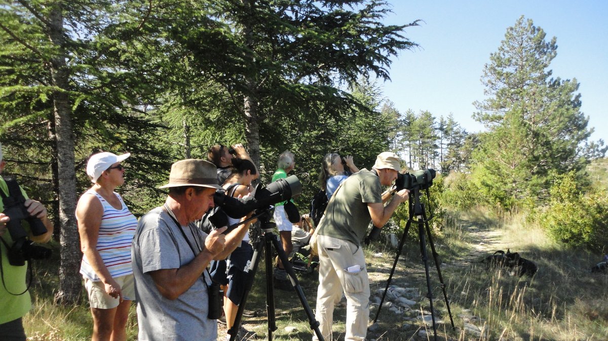Photo d'illustration&nbsp;(Photo Archives COGard).