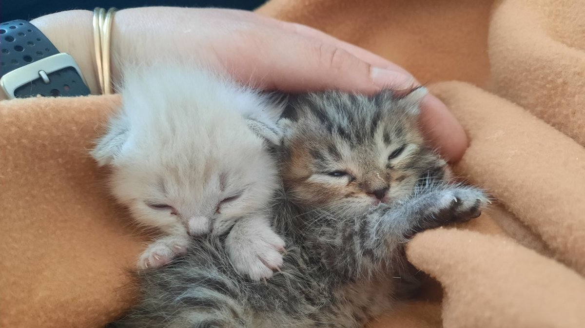 Image d'illustration.