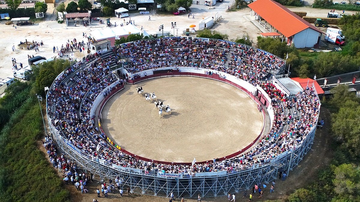 TOROS Rendez-vous à Méjanes : « Un toro pour un rêve d’enfant »