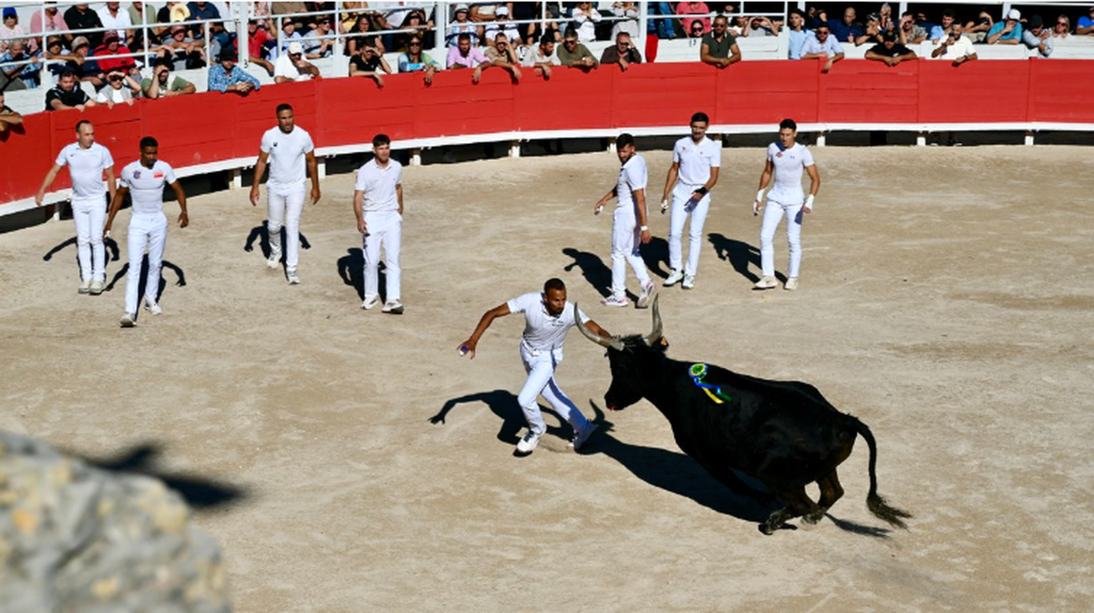 GARD / ARLES Plus aucune course camarguaise jusqu&#039;au 4 novembre