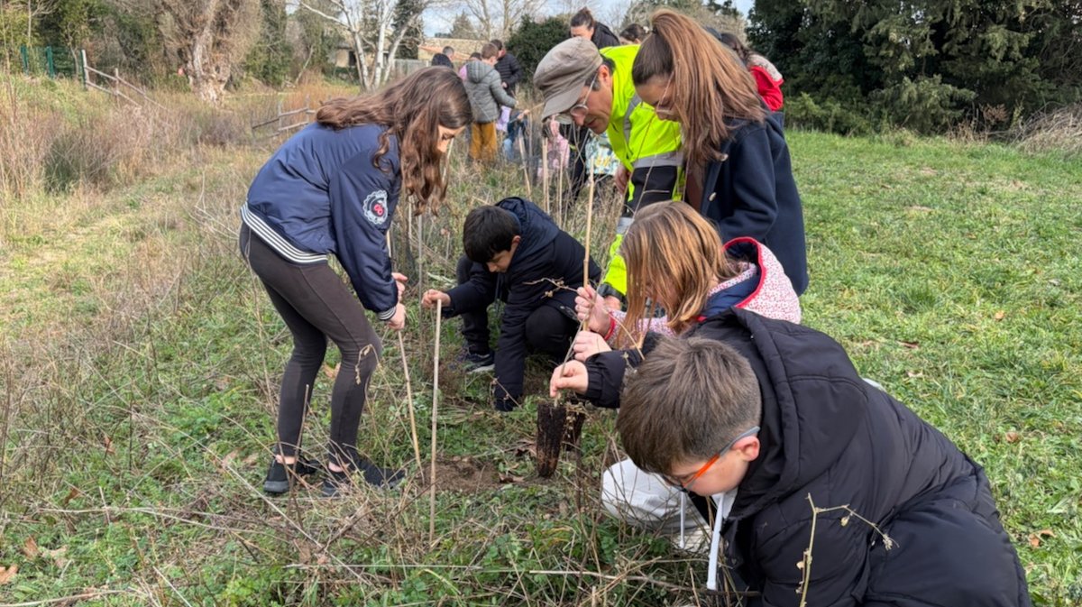 Les &eacute;coliers de Lirac ont plant&eacute; 150 arbustes sur les berges du Nizon mardi