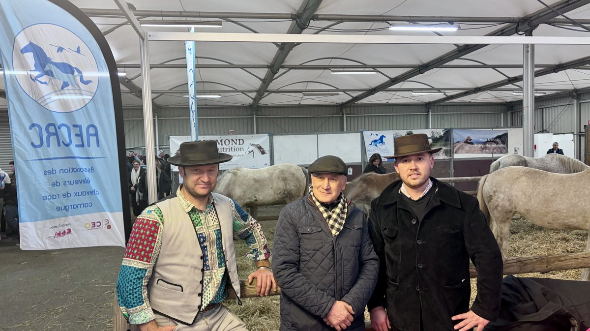 Le cheval Camargue est promu par ces trois&nbsp;membres de l'Association des &Eacute;leveurs de Chevaux de Race Camargue.&nbsp;