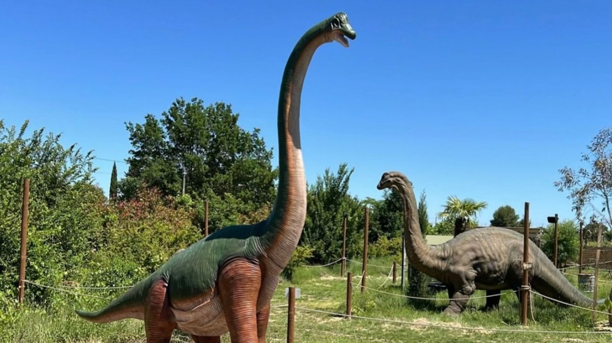 GALLARGUES-LE-MONTUEUX Optimum Loisirs rouvre ses portes le 4 avril : un printemps animé pour toute la famille