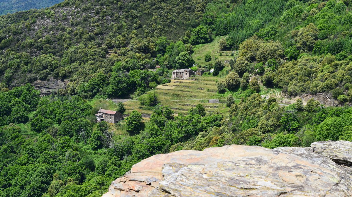 CÉVENNES Le pourtour des fermes, nouvel enjeu de l'agroécologie