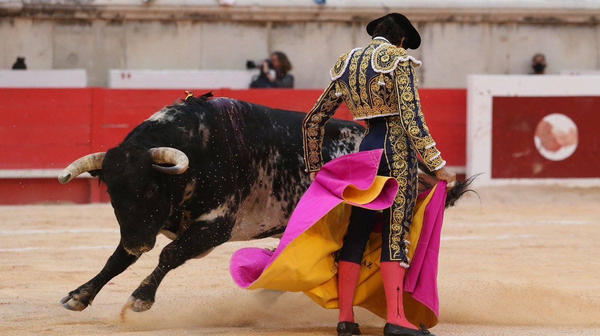 NÎMES EN FERIA Tout le programme de ce vendredi 22 mai