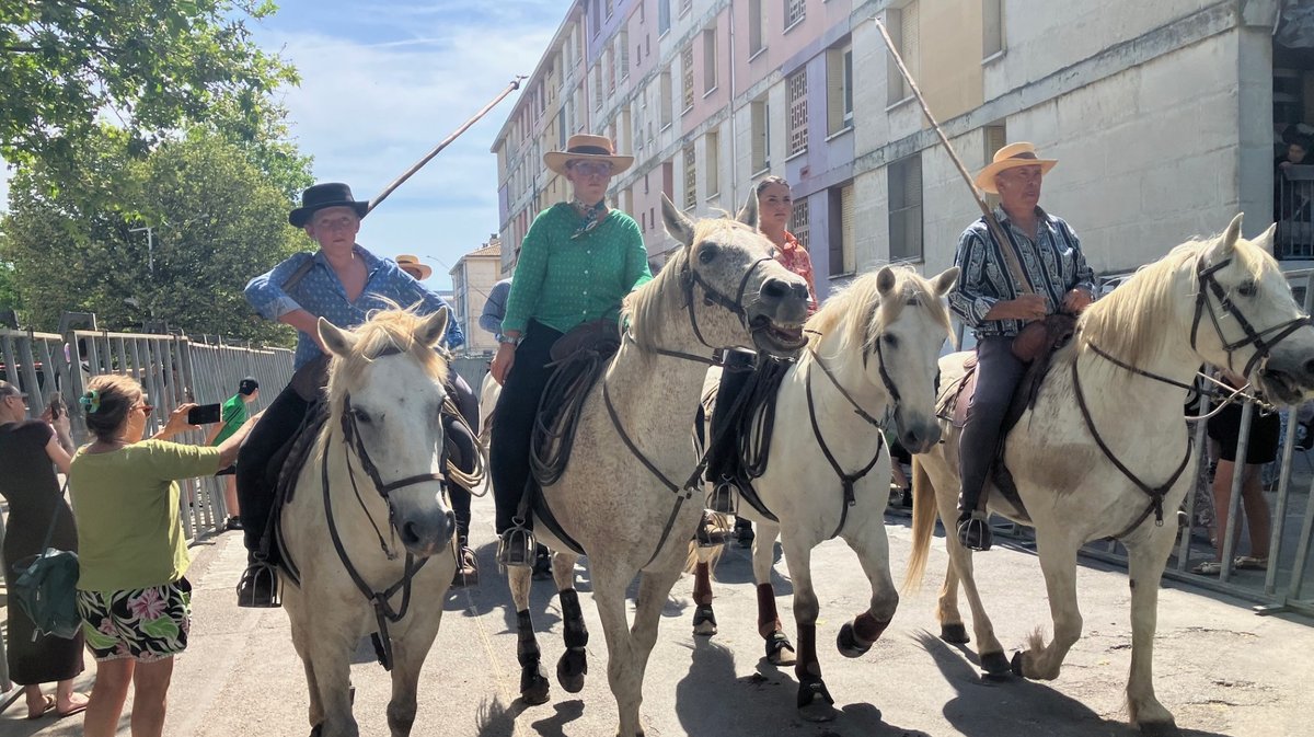 ARLES Première au quartier du Trébon :  une journée dans l'univers taurin pour partager l'aficion