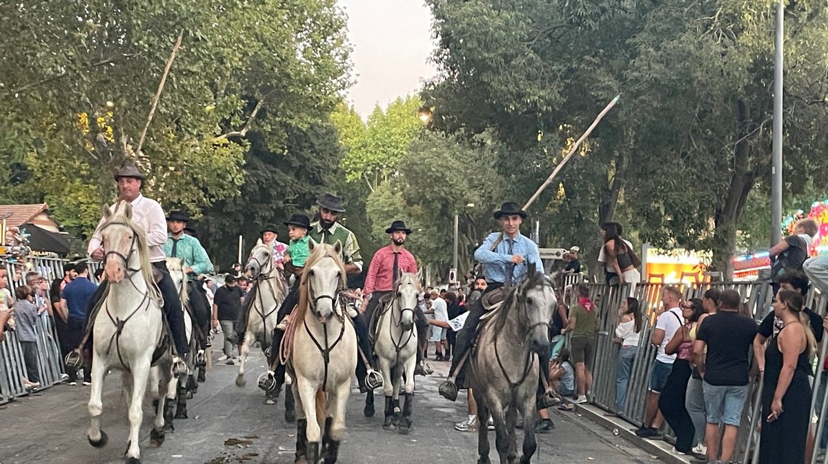 Le public est venu nombreux dimanche soir pour l'abrivado final de la manade Conti.