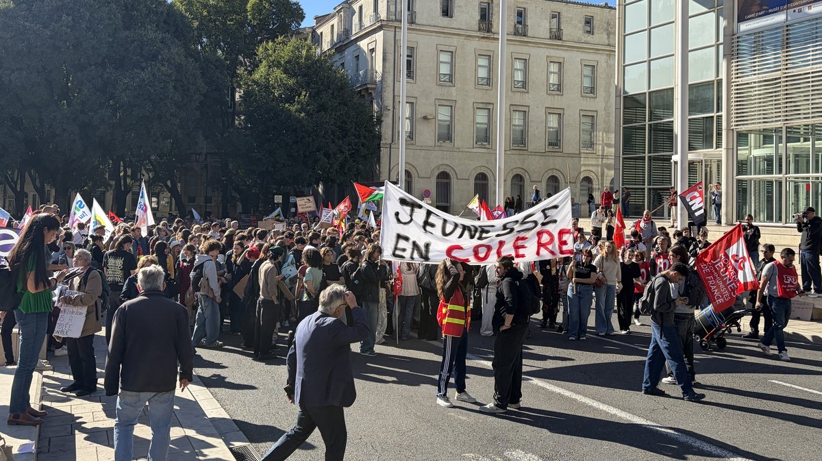Malgr&eacute; une nette baisse de la mobilisation, les lyc&eacute;ens ont manifest&eacute; pour r&eacute;clamer plus de moyens et de meilleures conditions d'&eacute;tude.