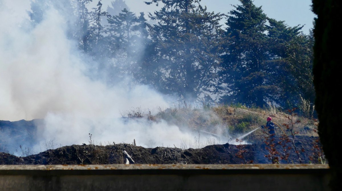 Hache de sapeurs-pompiers de lutte contre les feux de forêts