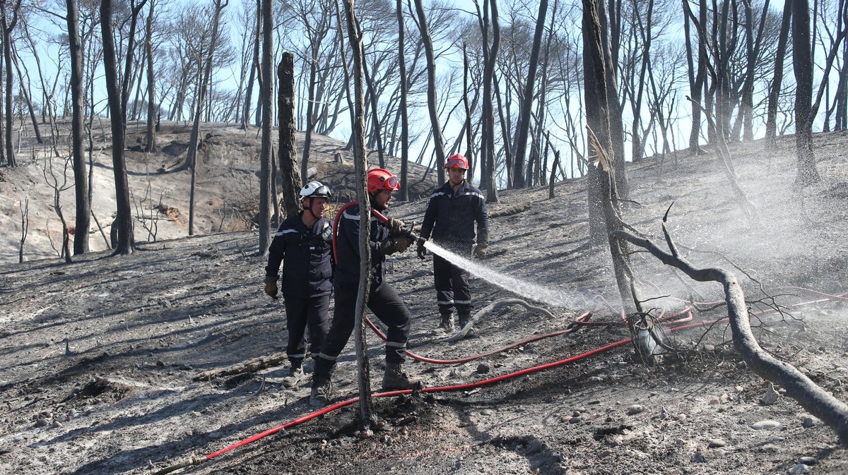 À l'été 2022 un incendie a ravagé 255 hectares à Générac