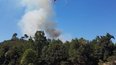 incendie forêt