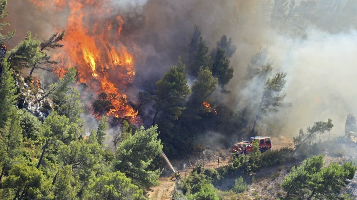 Un incendie a détruit cette nuit 5 hectares sur la commune cévenole d'Alzon 