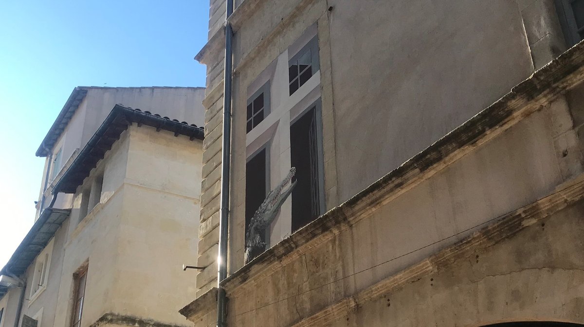 Il est où le croco ? Naturalisé dans les vitrines du muséum de Nîmes 