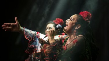 Fiesta Sevillane de Paloma Las Carlotas, et Somos del sur (Phot