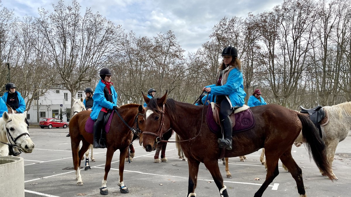 Téléthon Cavalerie de Vers-Pont-du-Gard
