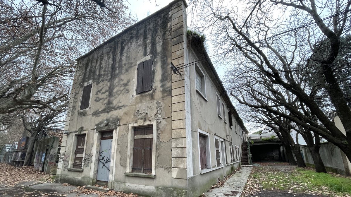 Les pépinières Pichon à Nîmes en janvier 2023 (Photo Anthony Maurin).