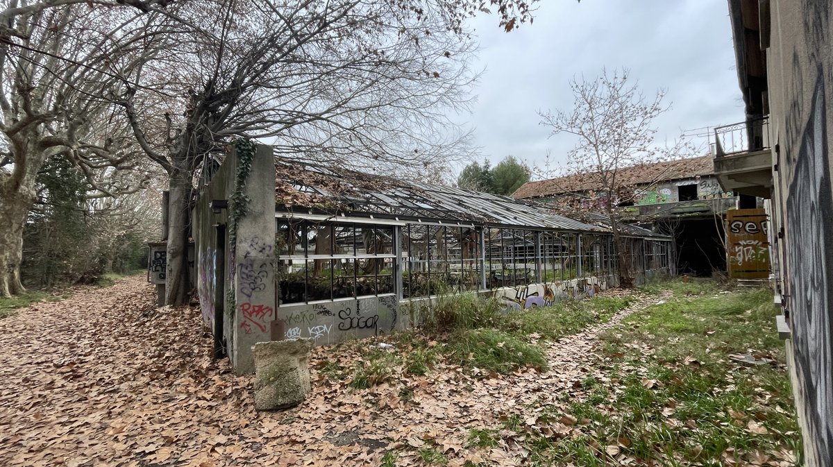 Les pépinières Pichon à Nîmes en janvier 2023 (Photo Anthony Maurin).