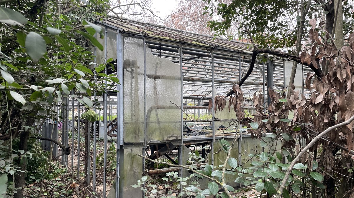 Les pépinières Pichon à Nîmes en janvier 2023 (Photo Anthony Maurin).
