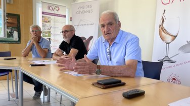 denis verdier vins igp gard