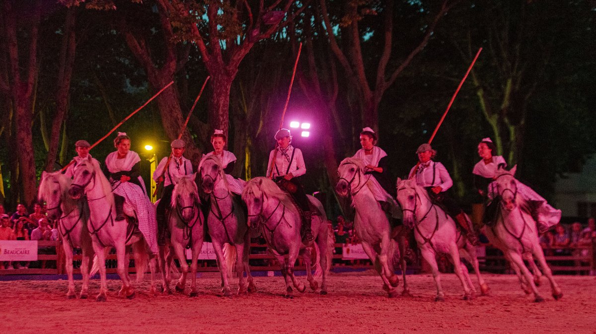 beaucaire spectacle equestre (yp)