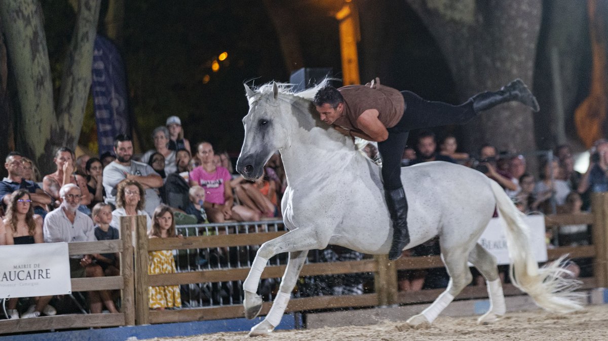 beaucaire spectacle equestre (yp)