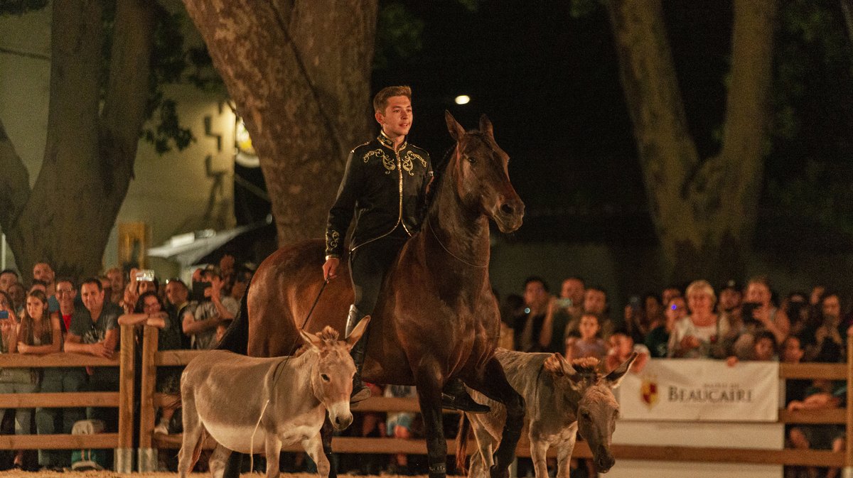 beaucaire spectacle equestre (yp)