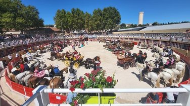 feria de Saint-Gilles (Photo Ville de Saint-Gilles)