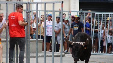 encierro assomption roquemaure