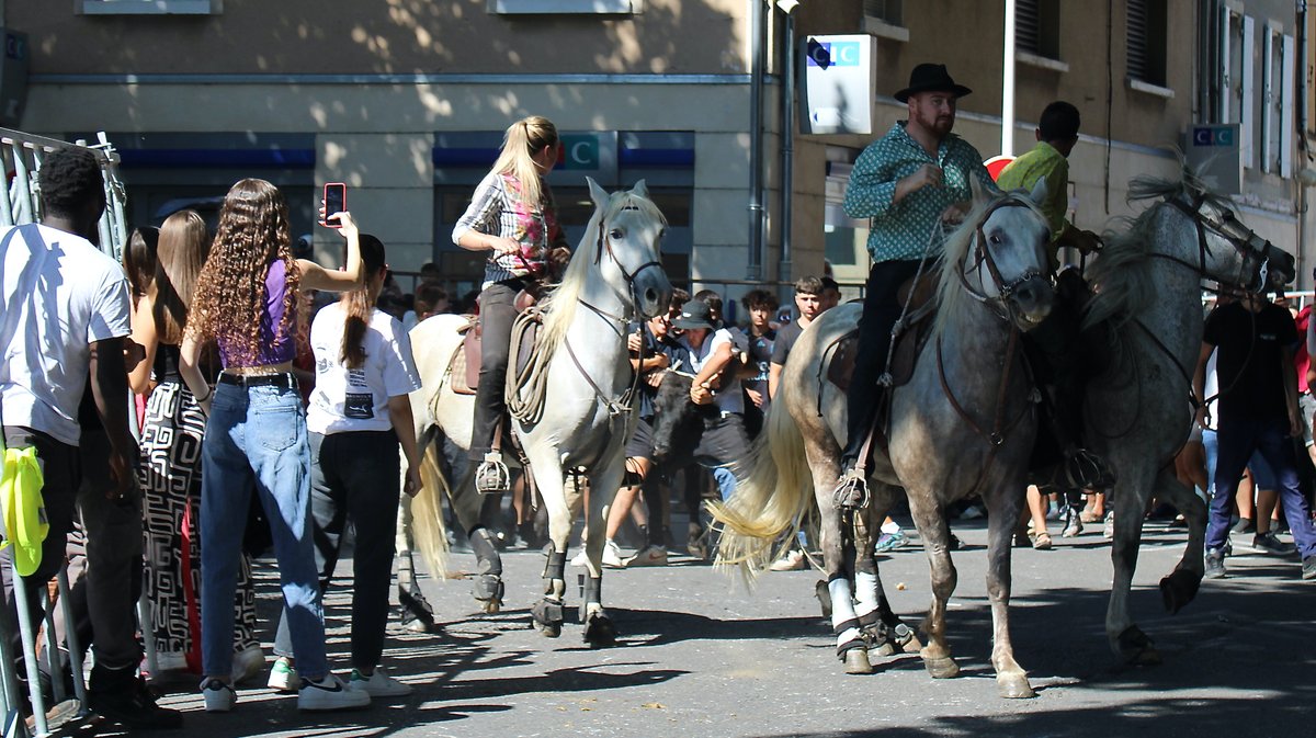 manade de la Lauze abrivado bagnols fête votive taureau chevaux