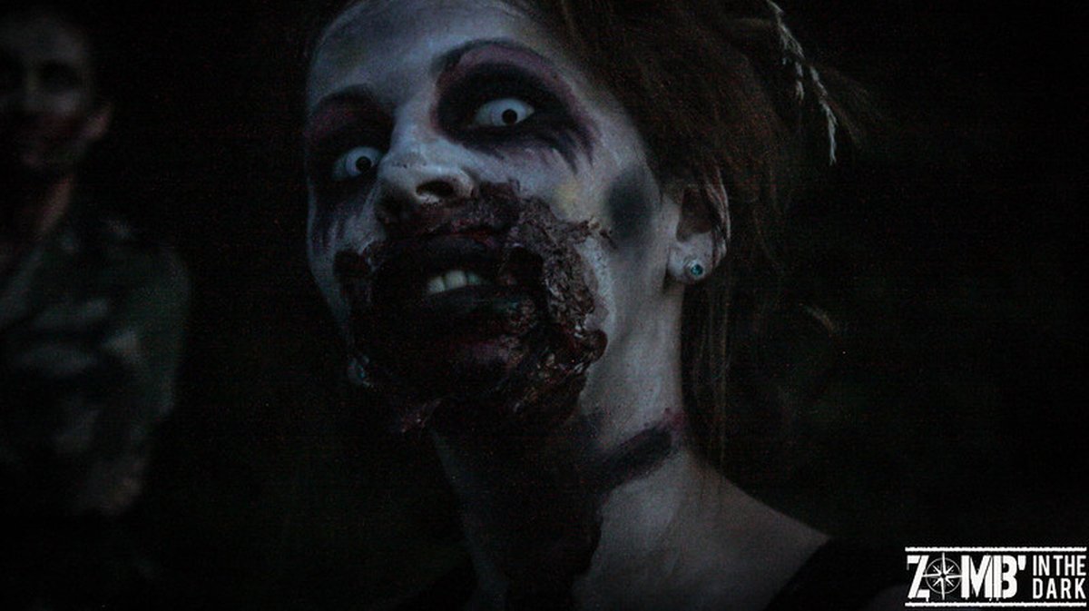Zomb’in The Dark