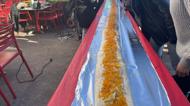 Tacos 10m de long