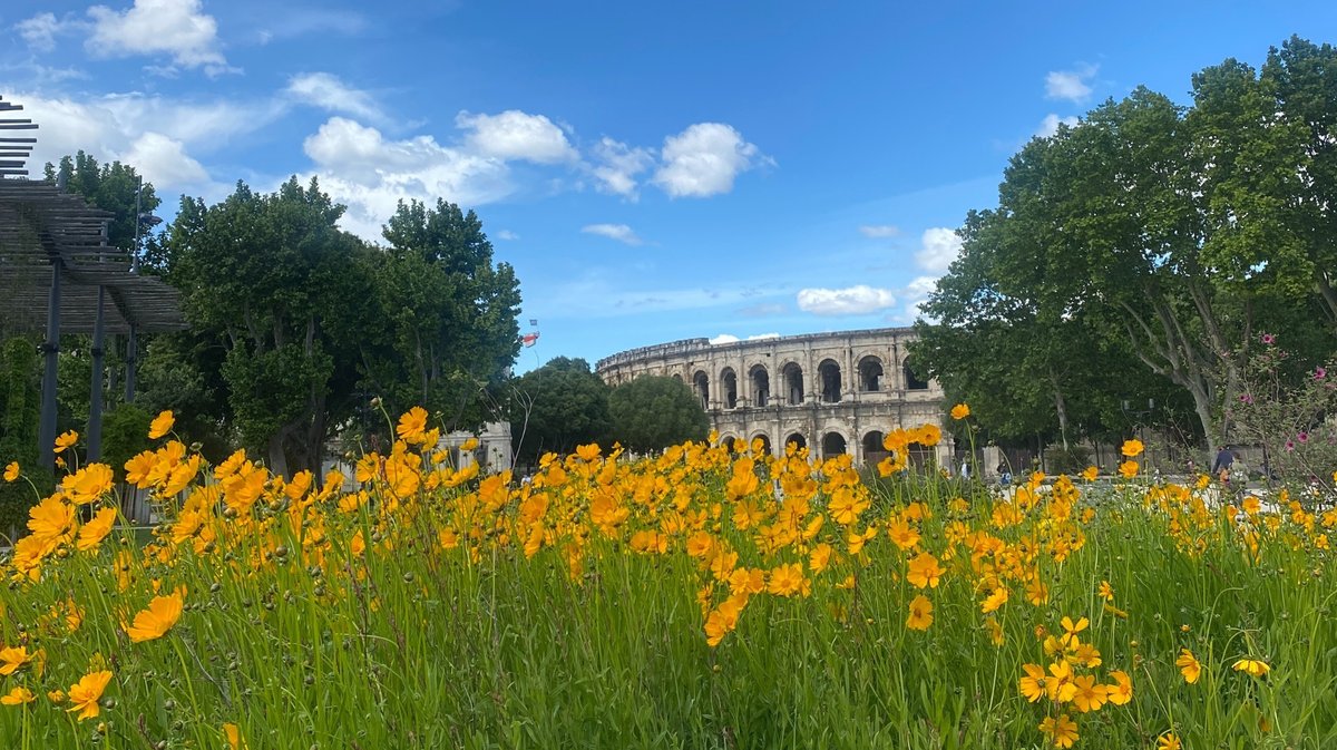 Sur l'esplanade de Nîmes, les fleurs sont présentes