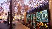 tram bus nîmes