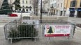 Un des parcs à sapins mis à disposition par Nîmes métropole (Photo Anthony Maurin).