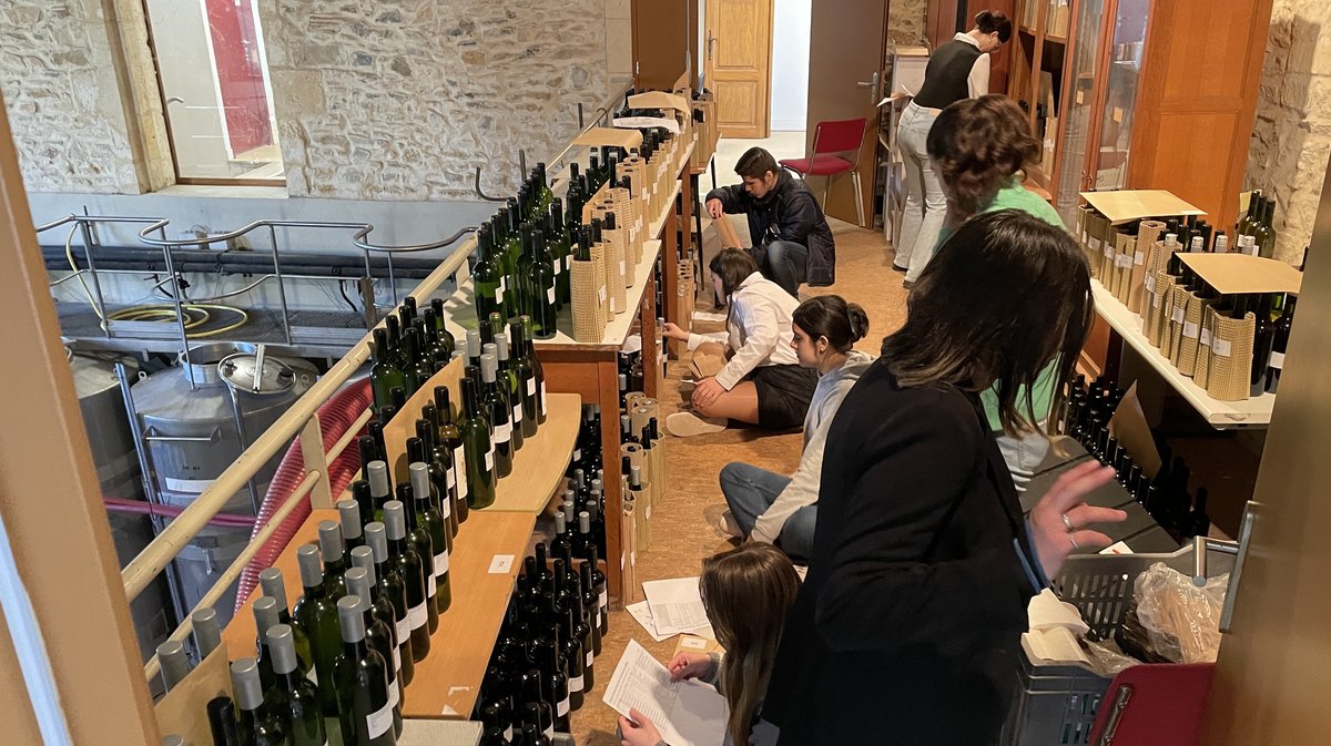 Le concours des vins de Nîmes et du Gard 2024 (Photo Anthony Maurin).