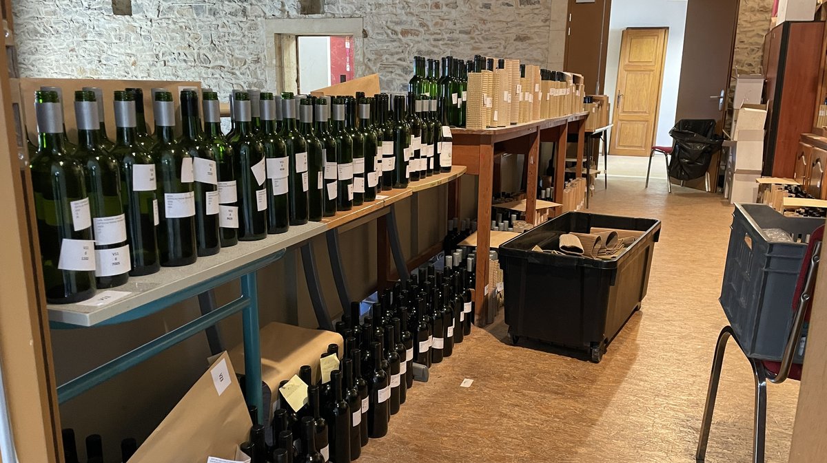 Le concours des vins de Nîmes et du Gard 2024 (Photo Anthony Maurin).