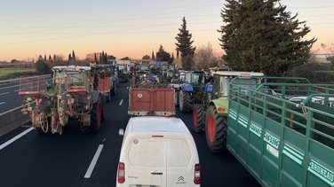 A9 manif agriculteurs manif agriculteurs blocage autoroute