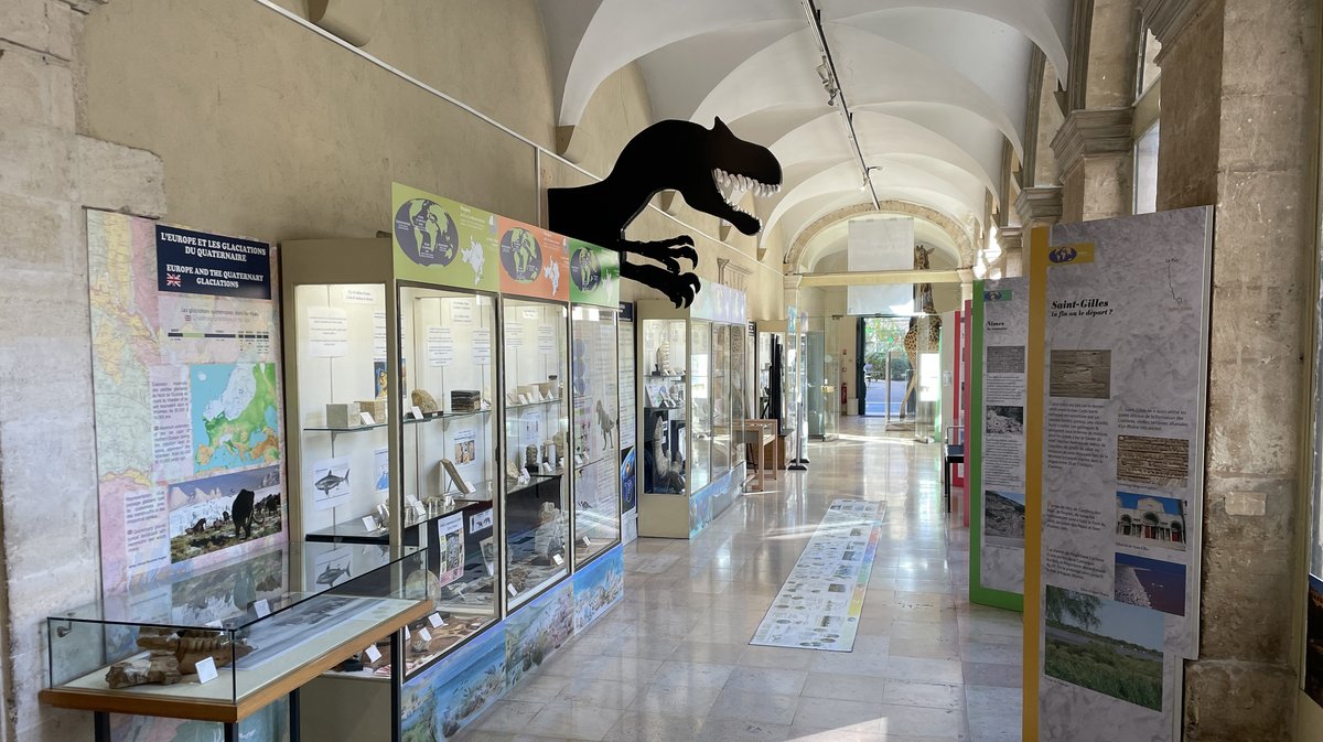 Le Muséum d'histoire naturelle de Nîmes dirigé par Adeline Rouilly (Photo Anthony Maurin)