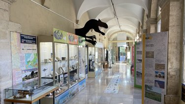 Muséum d'histoire naturelle de Nîmes (Photo Anthony Maurin)