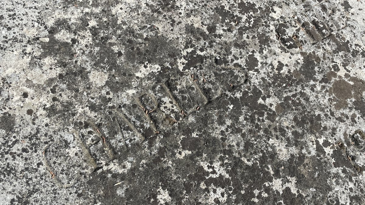 La pierre tombale quasi anonyme de Charles Gide au cimétirèe protestant de Nîmes (Photo Archives Anthony Maurin)