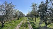 Printemps Jeunes Agriculteurs du Gard 2024 ()