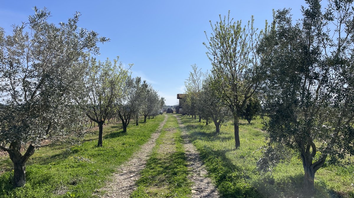 Printemps Jeunes Agriculteurs du Gard 2024 ()