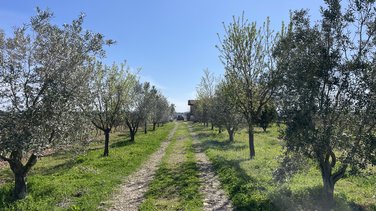 Printemps Jeunes Agriculteurs du Gard 2024 ()