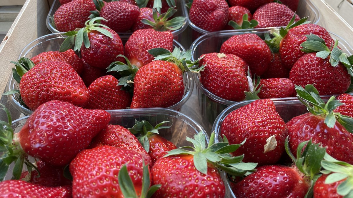 Mas des agriculteurs fraises asperges chocolats Pâques 2024 (Photo Anthony Maurin)