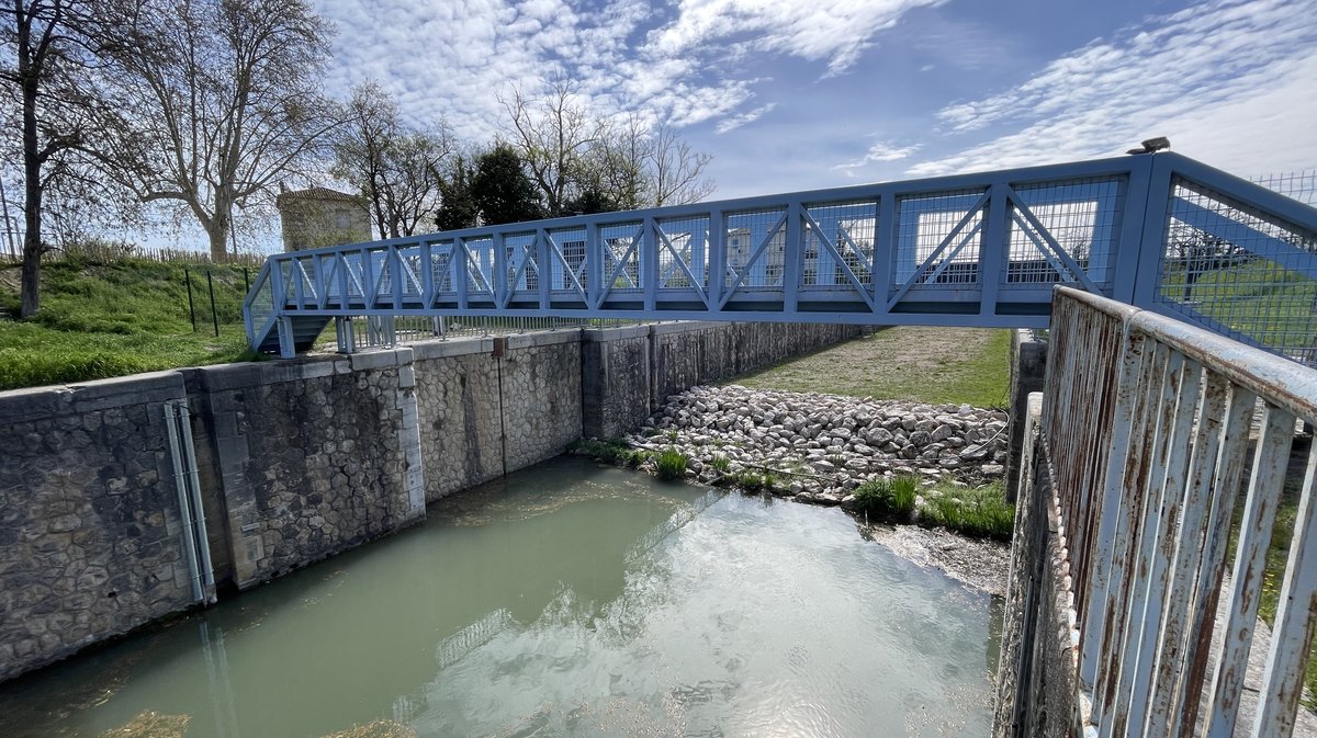 Journée mondiale de l'eau, VNF, photo d'illustration du canal du Rhône à Sète à Beaucaire en 2024 (Photo Anthony Maurin)