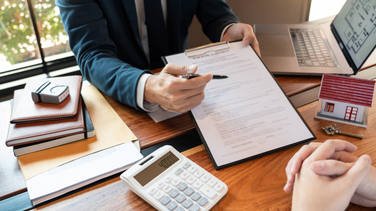 immobilier licence lamour