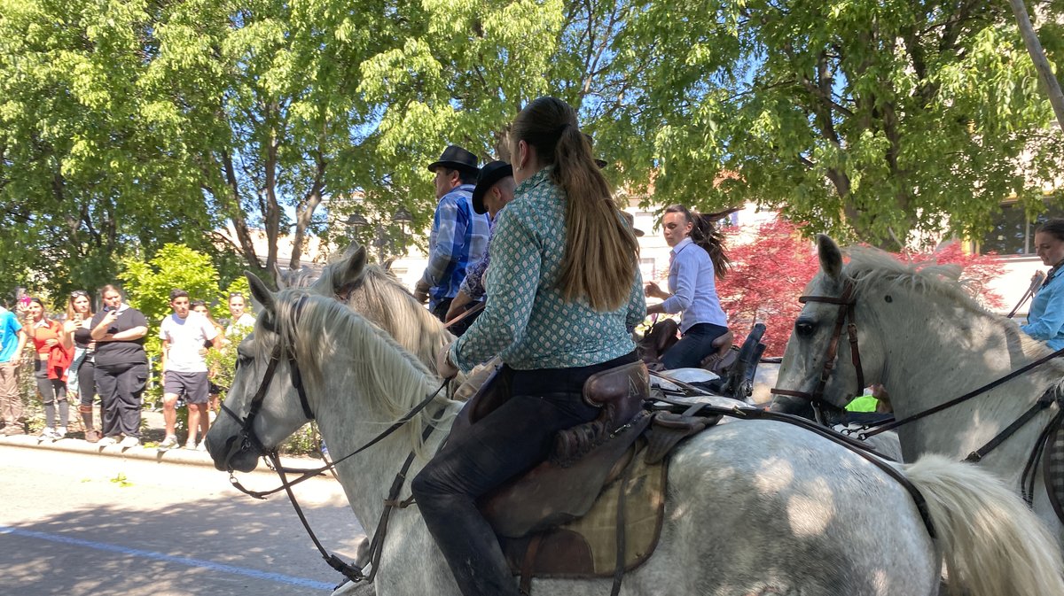 Abrivado Feria Alès 2024