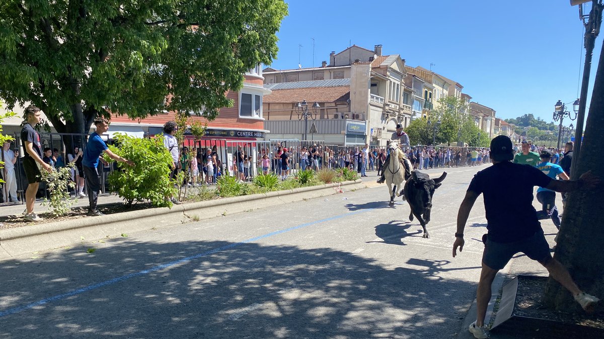 Abrivado Feria Alès 2024